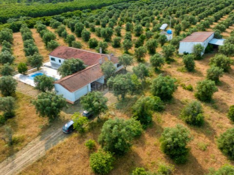 Quinta T4 em Almoster, Santarém