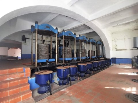 Armazém em Alpiarça, Alpiarça
