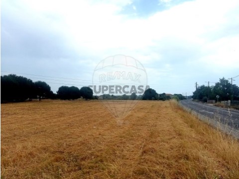 Terreno em Cartaxo e Vale da Pinta, Cartaxo
