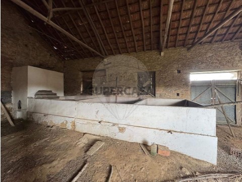 Huis 3 kamers Op Ereira e Lapa, Cartaxo