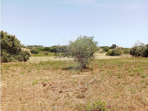 Terreno em Manique do Intendente, V.N.De S.Pedro e Maçussa, Azambuja
