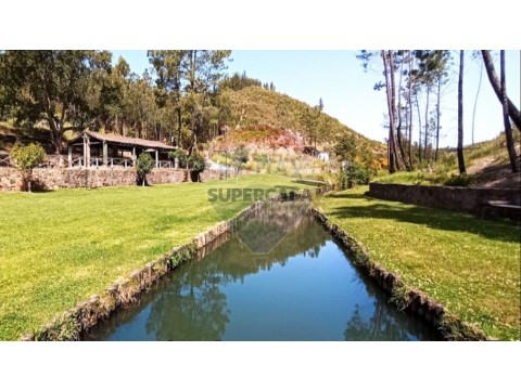 Terreno em Carvoeiro, Mação