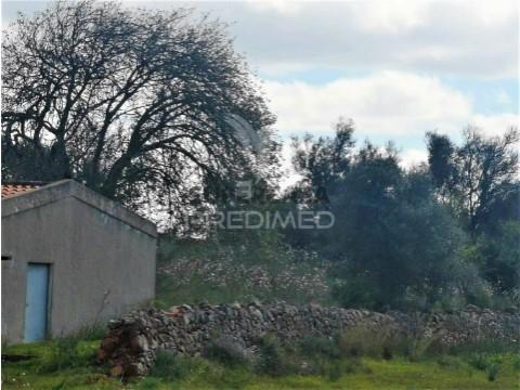 Apartamento T0 em São Bartolomeu de Messines, Silves
