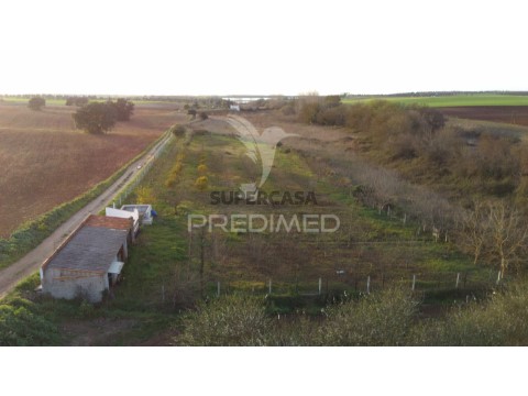 Terreno em Trigaches e São Brissos, Beja