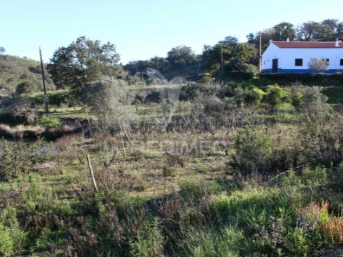 Terreno em São Bartolomeu de Messines, Silves