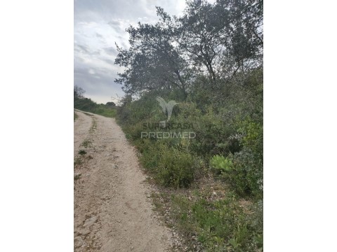 Terreno em Achete, Azoia de Baixo e Póvoa de Santarém, Santarém