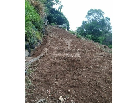 Terreno em Água de Pena, Machico