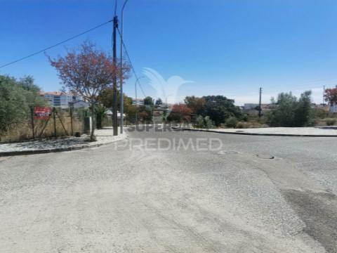 Terreno em Alcanena e Vila Moreira, Alcanena