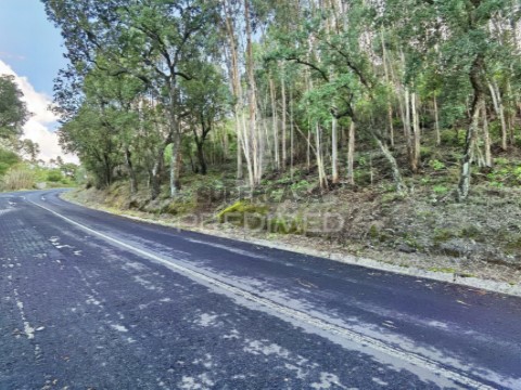 Terreno em Amiais de Baixo, Santarém