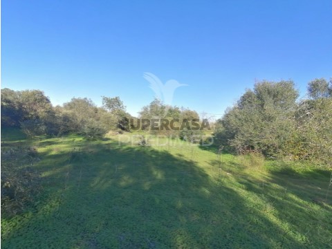 Terreno em Fuseta, Olhão