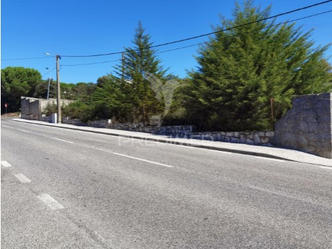 Terreno em Minde, Alcanena