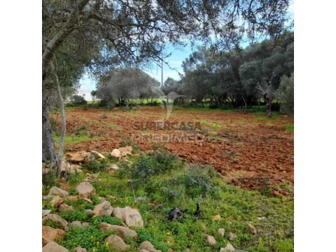 Terreno em Quelfes, Olhão