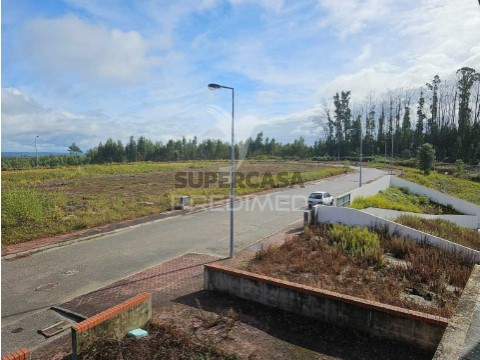 Terrein Op São Pedro de Alva e São Paio de Mondego, Penacova