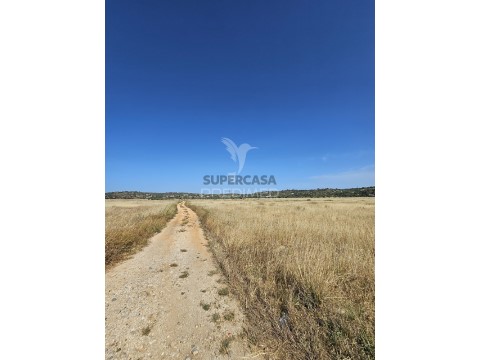 Terreno em Tunes, Silves