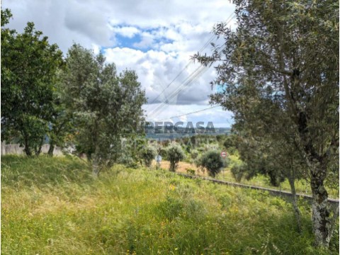 Terreno em Fragosela, Viseu
