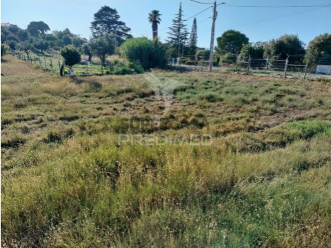 Terreno em Torres Novas (Santa Maria, Salvador e Santiago), Torres Novas