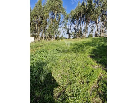 Terreno em Tornada e Salir do Porto, Caldas da Rainha