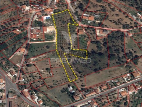Terreno em Praia do Ribatejo, Vila Nova da Barquinha
