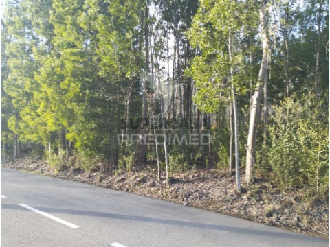 Terreno em Oliveirinha, Aveiro