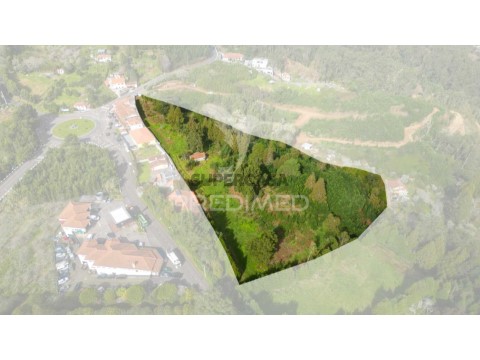 Terreno em Santo António da Serra, Santa Cruz