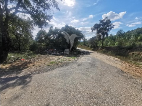 Terreno em Atalaia, Vila Nova da Barquinha