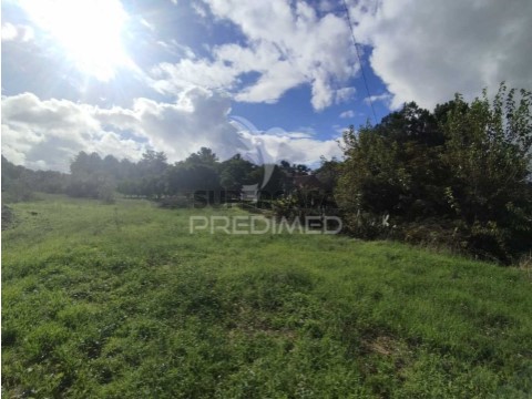 Terreno em Chamusca e Pinheiro Grande, Chamusca