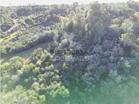 Terreno em Arneiro das Milhariças, Santarém