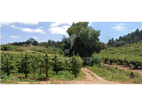 Terreno em Lamas e Cercal, Cadaval