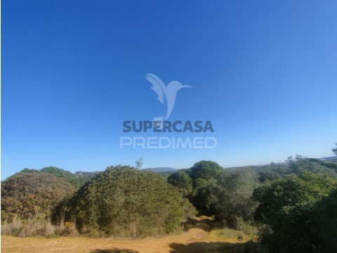 Terreno em Alcanena e Vila Moreira, Alcanena