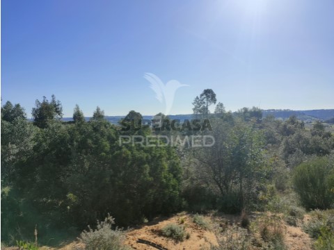 Terreno em Alcanena e Vila Moreira, Alcanena