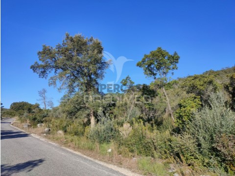 Terreno em Malhou, Louriceira e Espinheiro, Alcanena