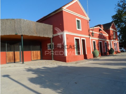 房子 4 卧室 在 Assunção, Ajuda, Salvador e Santo Ildefonso, Elvas