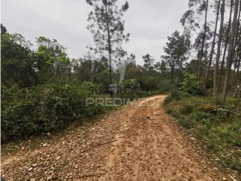 Terreno em Atalaia, Vila Nova da Barquinha