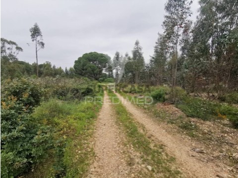 Terreno em Vila Nova da Barquinha, Vila Nova da Barquinha
