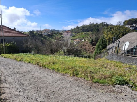 Terreno em Camacha, Santa Cruz