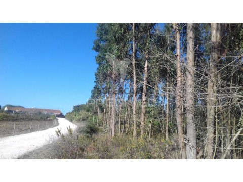 Terreno em Vimeiro, Lourinhã