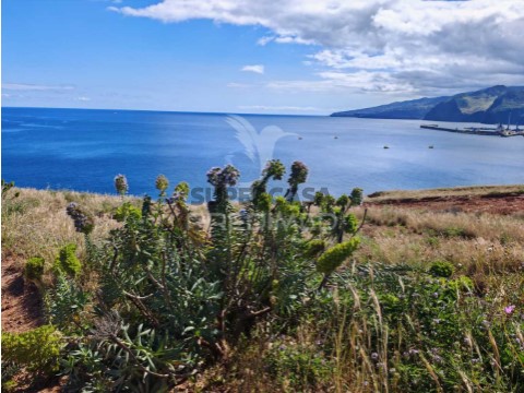 Terreno em Caniçal, Machico