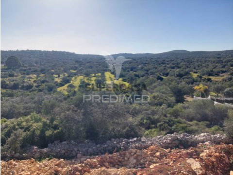 Terreno em São Brás de Alportel, São Brás de Alportel