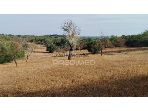 Terreno em Estoi, Faro