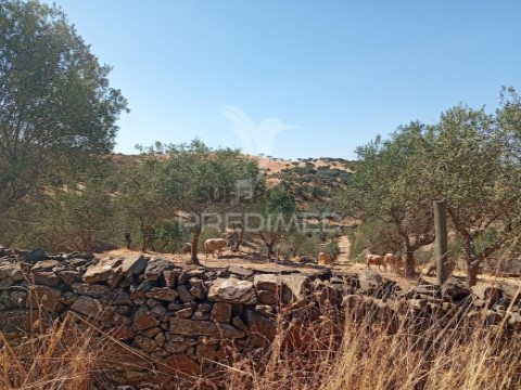 Terreno em Bencatel, Vila Viçosa