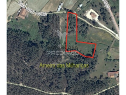 Terreno em Arneiro das Milhariças, Santarém