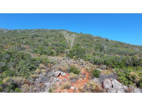 Terreno em Fuseta, Olhão