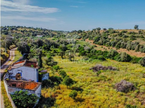 Terreno em Alcantarilha, Silves