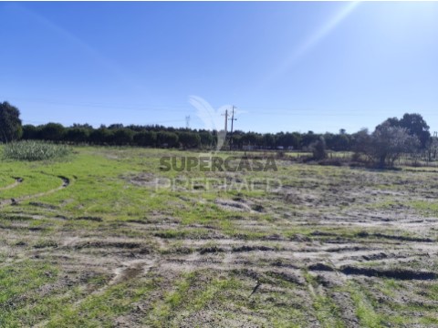 Grundstück auf Grândola e Santa Margarida da Serra, Grândola