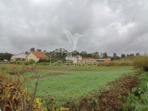 Terreno em Oiã, Oliveira do Bairro
