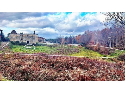 Terreno em Covas e Vila Nova de Oliveirinha, Tábua