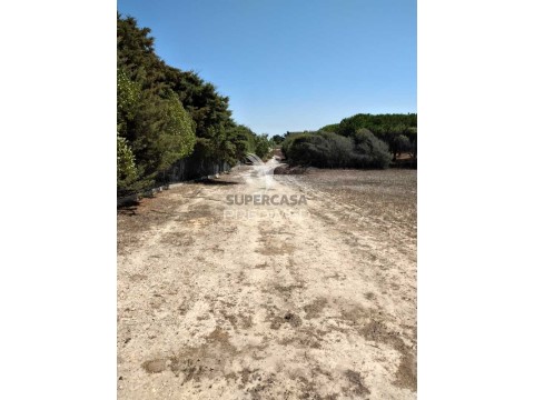 Terreno em Porto Covo, Sines