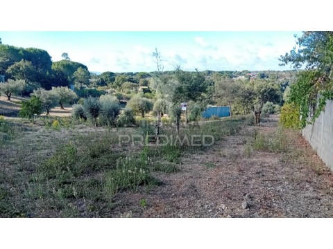 Terreno em Seiça, Ourém