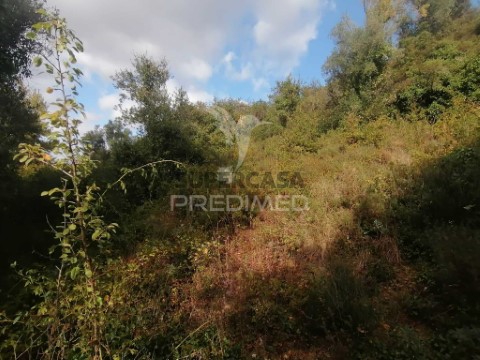 Terreno em Santo Quintino, Sobral de Monte Agraço