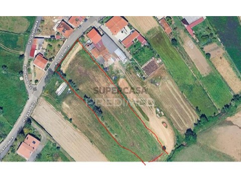 Terreno em Angeja, Albergaria-a-Velha